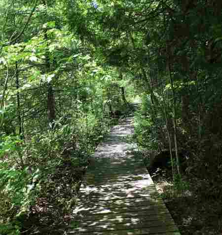 A Flowerpot Island Hiking Trail flowerpot-island-hiking-trail