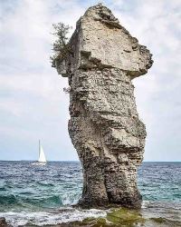 Native Warrior Profile flowerpot-island-warrior-profile